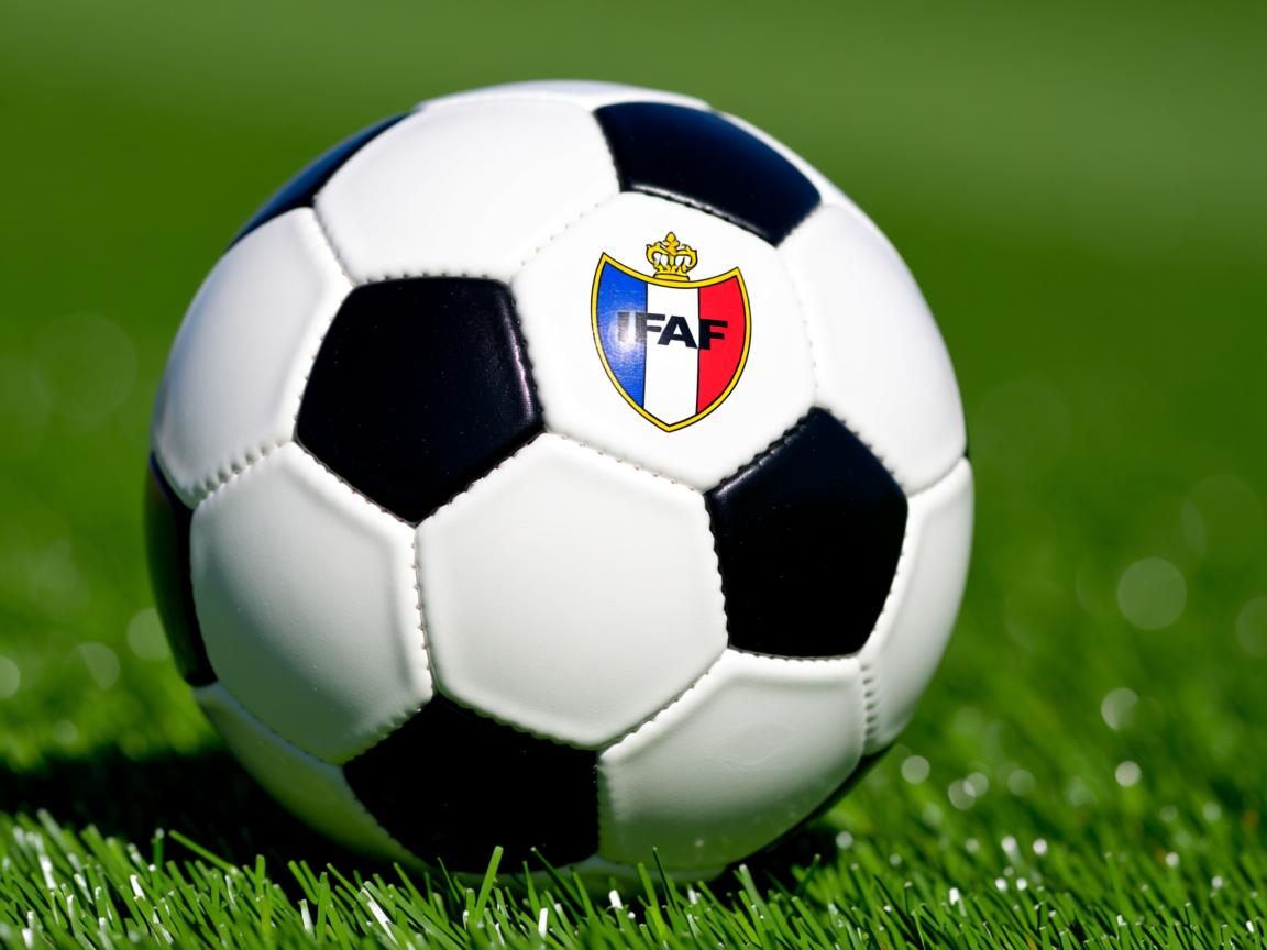 开云体育入口-灰熊客场惊险胜出,发挥出色 第3张