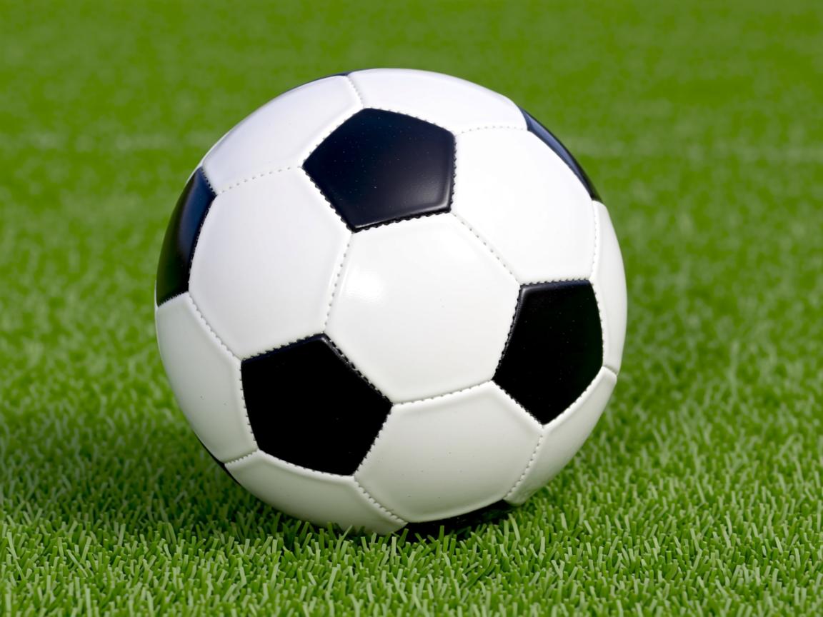 开云在线登入-“滑轮新星崛起!成都滑轮中心见证新生力量” 第1张