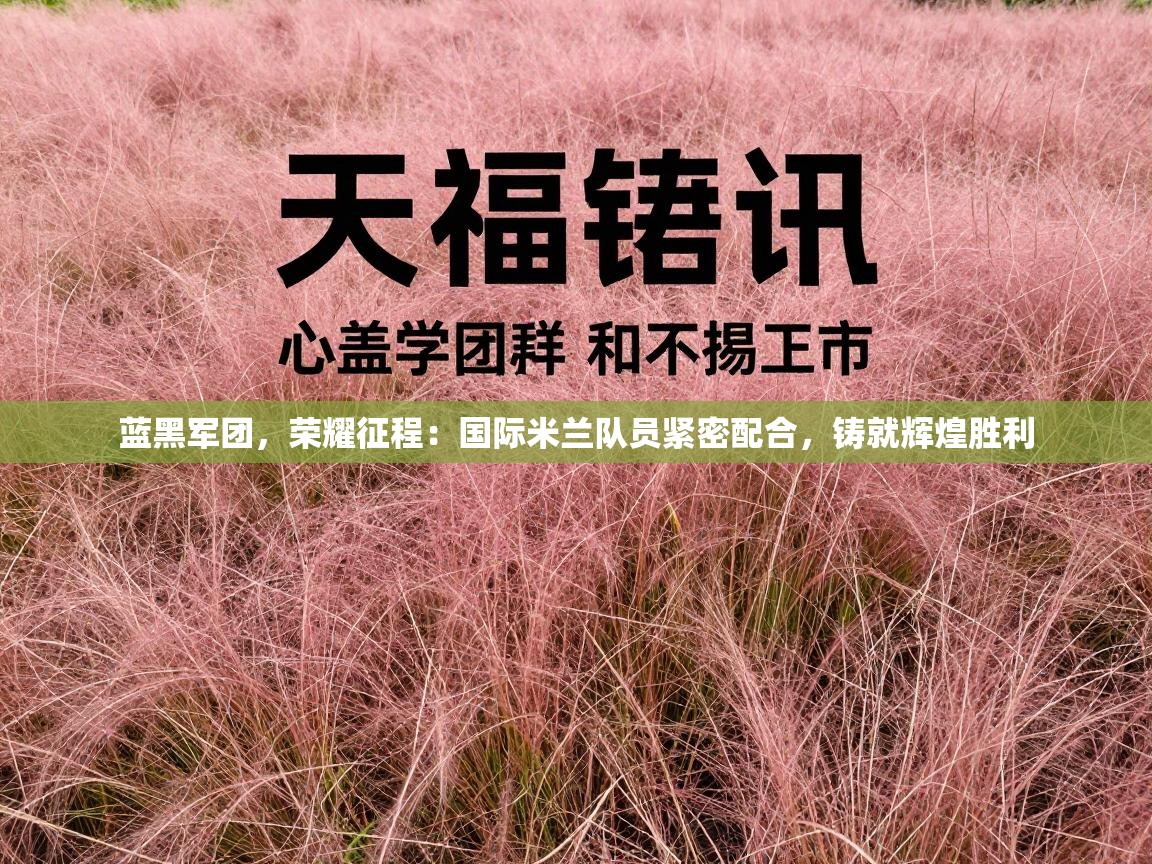 蓝黑军团，荣耀征程：国际米兰队员紧密配合，铸就辉煌胜利  第2张